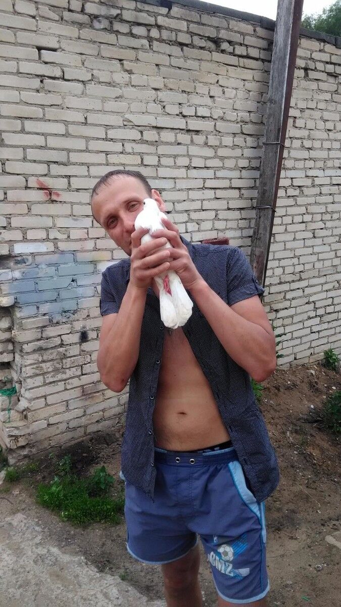 ���������� �������, ���� ������� ������, 40 ���, ������������ ��� ������, ����� � ���������, c�������� ���������