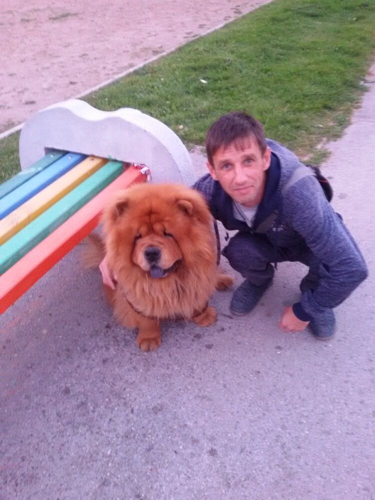 ���������� ����, ���� ������� Sergey, 43 ����, ������������ ��� ������, ����� � ���������, c�������� ���������, ���������