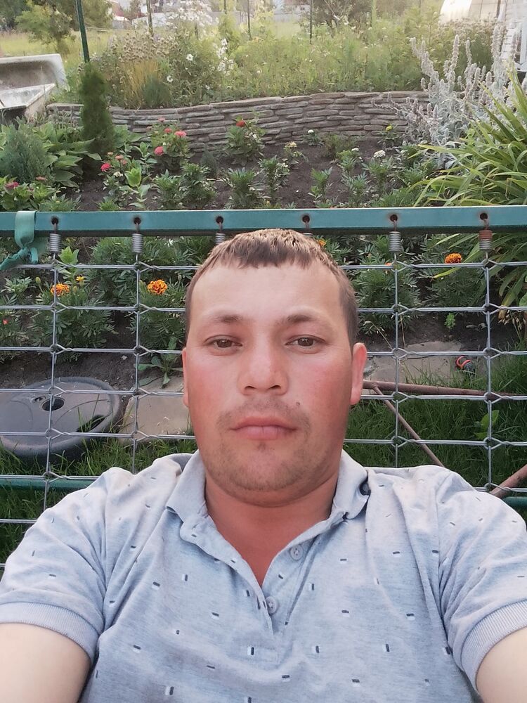  36234417  , 31 ,    
