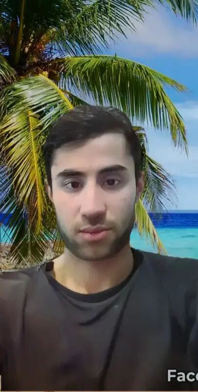  26135897  , 33 ,    -