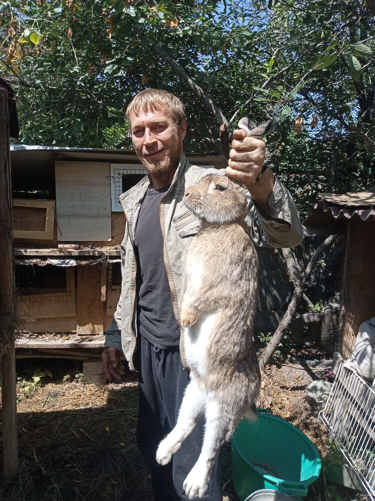 ���������� ������, ���� ������� ����������, 44 ����, ������������ ��� ������, ����� � ���������, c�������� ���������