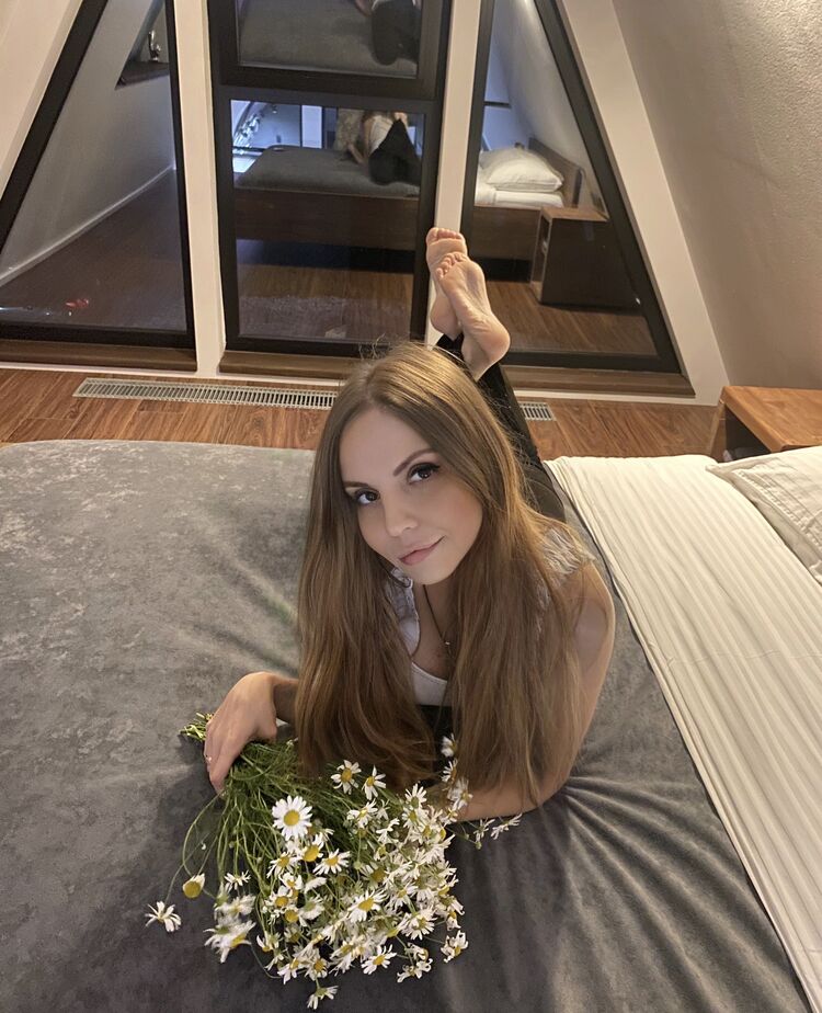  45535127  , 31 ,     