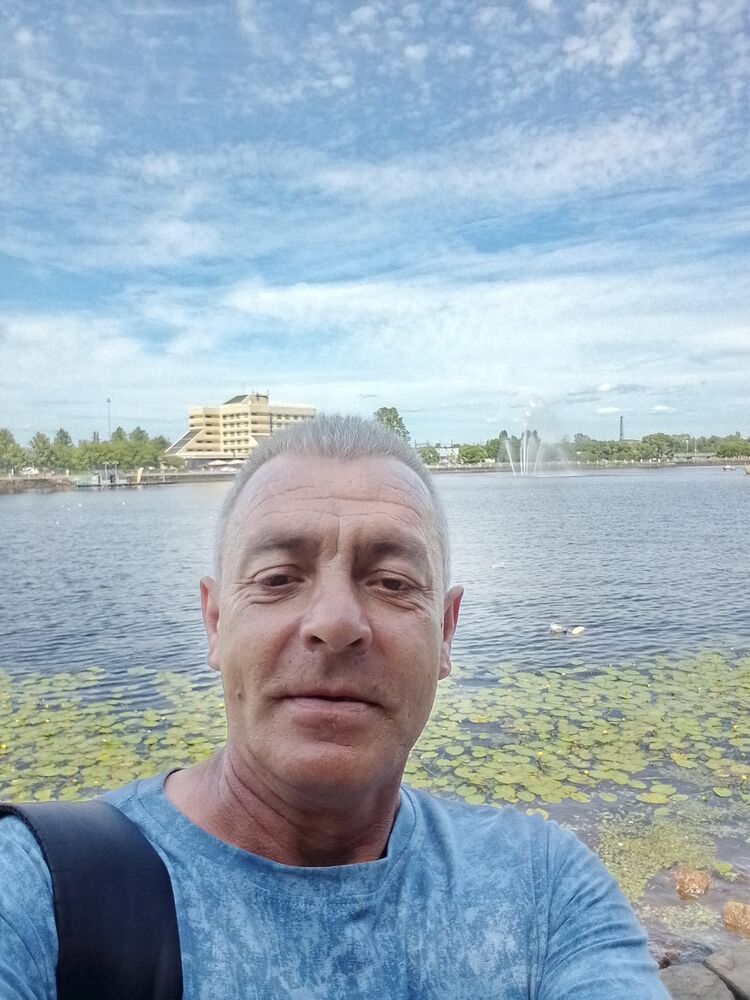 ���� 56214577 ������� ��������, 50 ���, ���� ���������� � �������