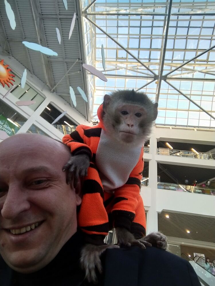 ���� 19570027 ������� �����, 42 ����, ���� ���������� � �������������