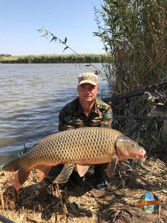 ���� 26971037 ������� �����, 45 ���, ���� ���������� � ������