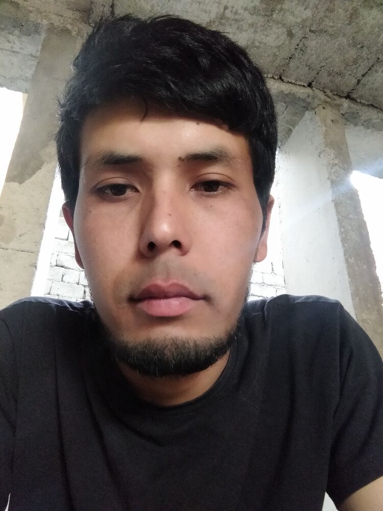  40127867  , 31 ,    