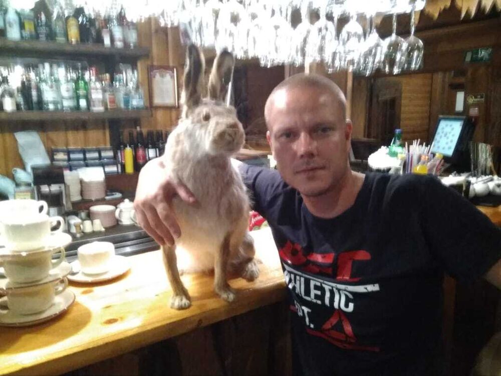 ���� 30416147 ������� ����, 41 ���, ���� ���������� � ������