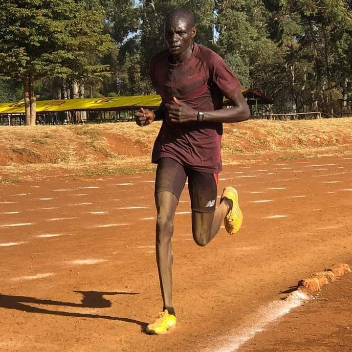 ���� 45788187 ������� Kris, 30 ���, ���� ���������� � �����-����������