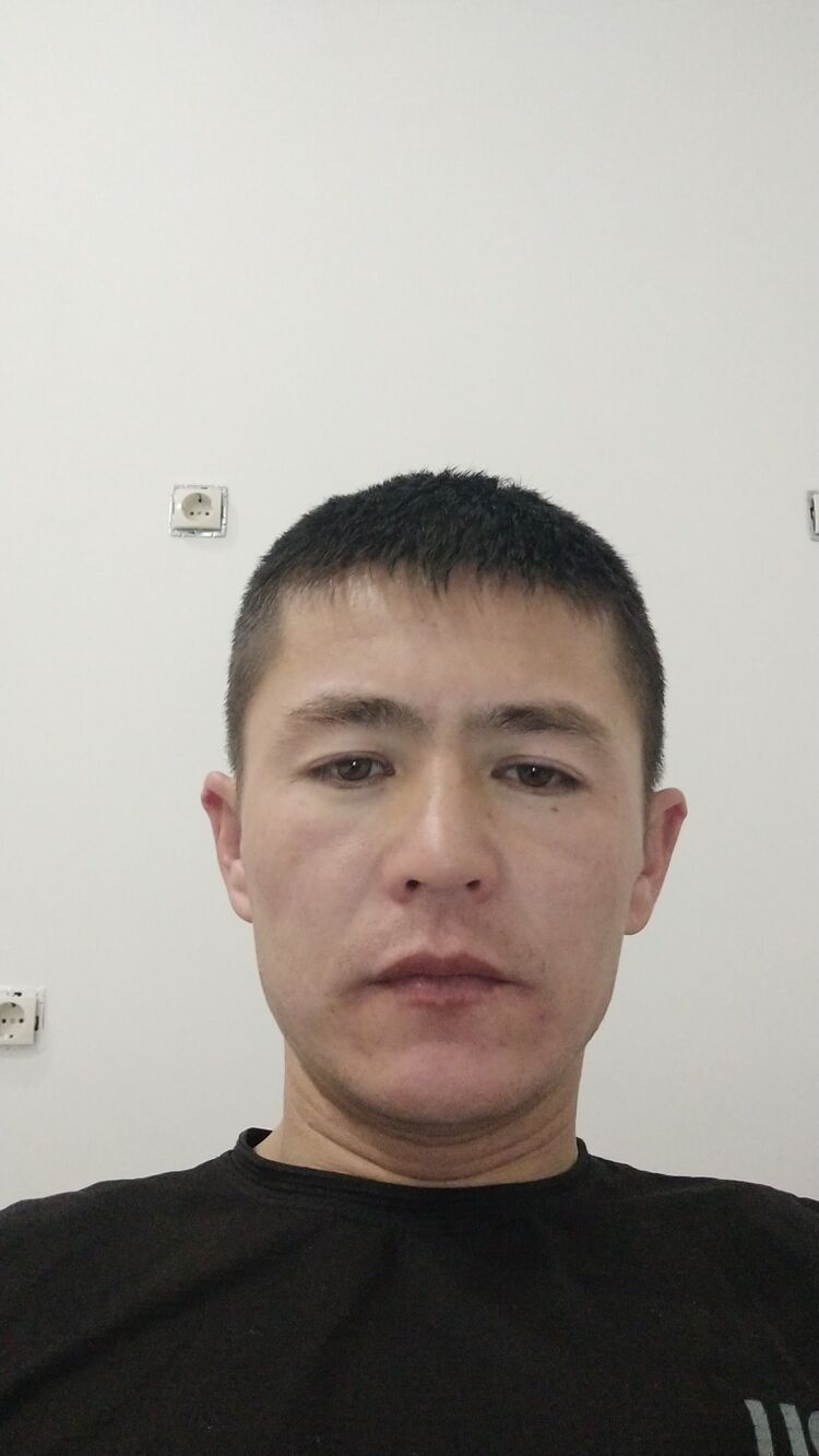  34218407  , 33 ,    