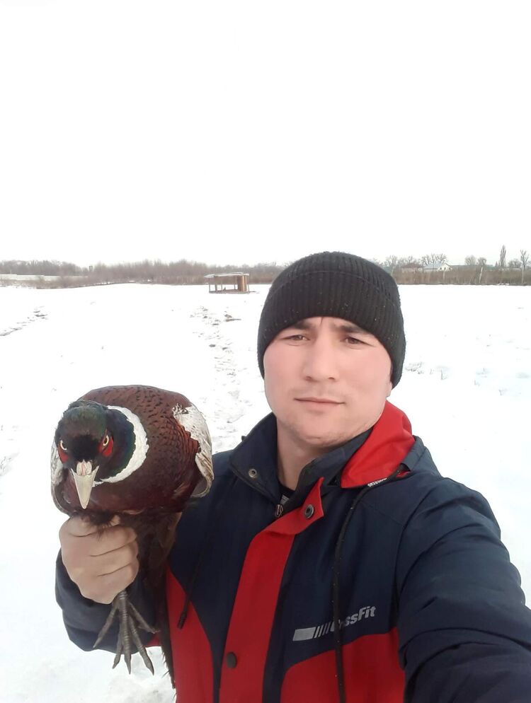 ���� 54907137 ������� ������, 37 ���, ���� ���������� � ������