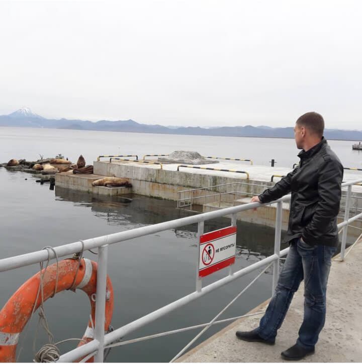 ���� 54628647 ������� ����������, 44 ����, ���� ���������� � ��������������-����������