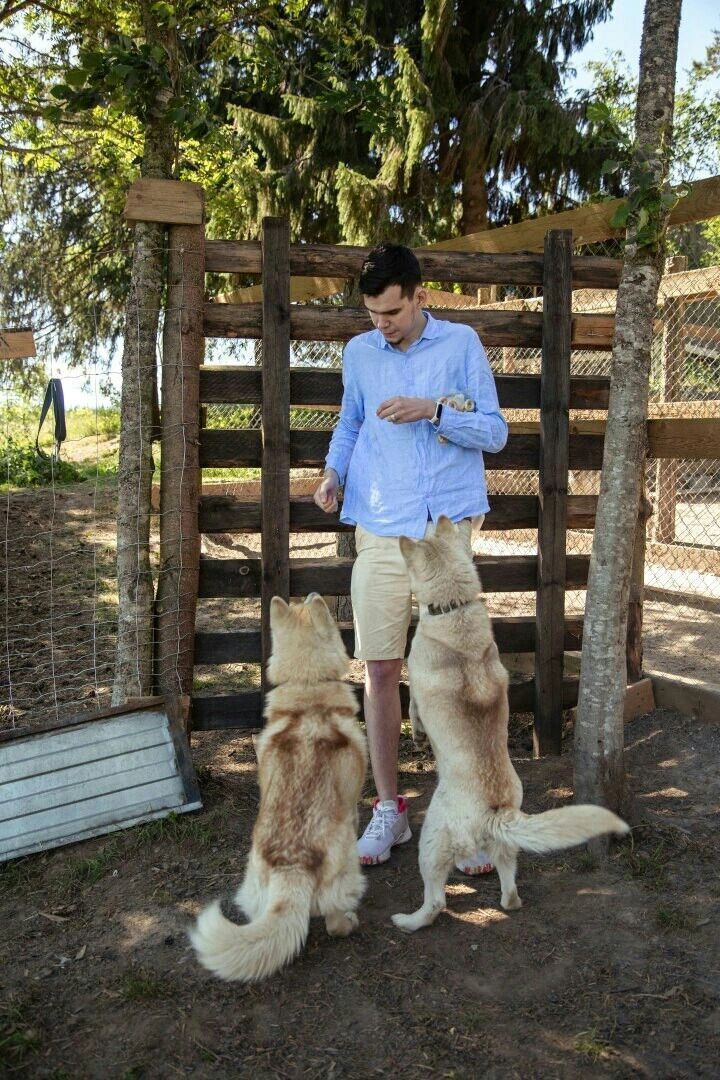 ���� 33881807 ������� ��������, 29 ���, ���� ���������� � �����-����������