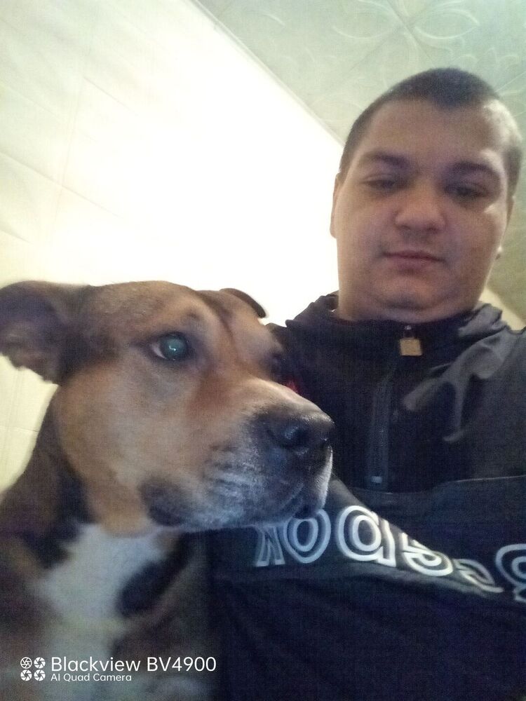 ���������� ������, ���� ����� ����, 25 ���, ������������ ��� ������, ����� � ���������, c�������� ���������