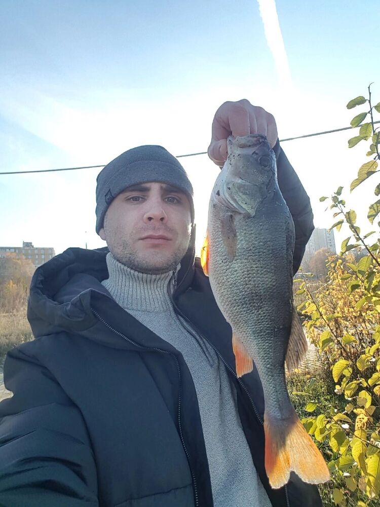 ���������� ������, ���� ������� �������, 37 ���, ������������ ��� ����� � ���������, c�������� ���������