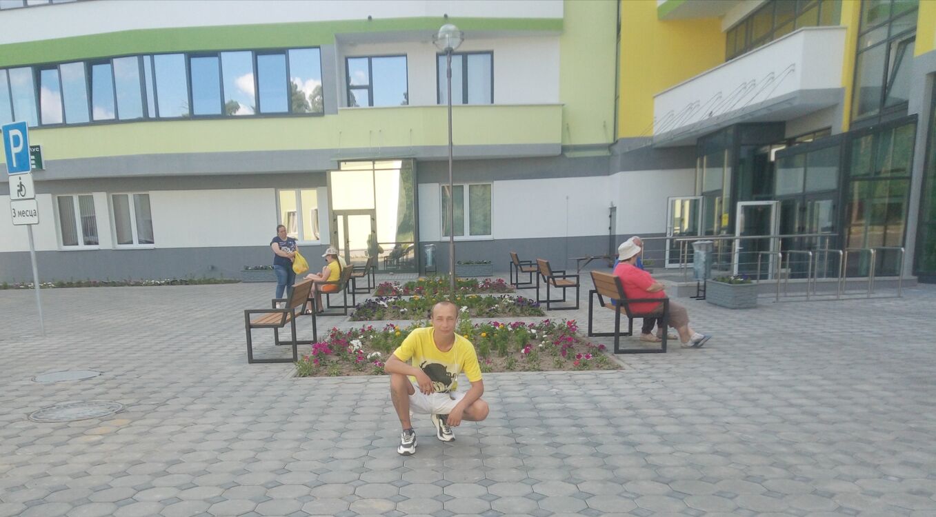  27849597  , 43 ,    