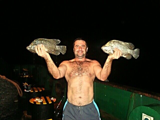  ,   Paata, 53 ,   ,   , c 