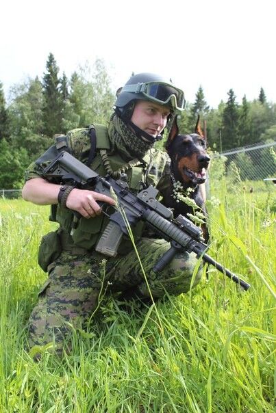 ���������� �������, ���� ������� ���������, 36 ���, ������������ ��� ������, ����� � ���������, c�������� ���������