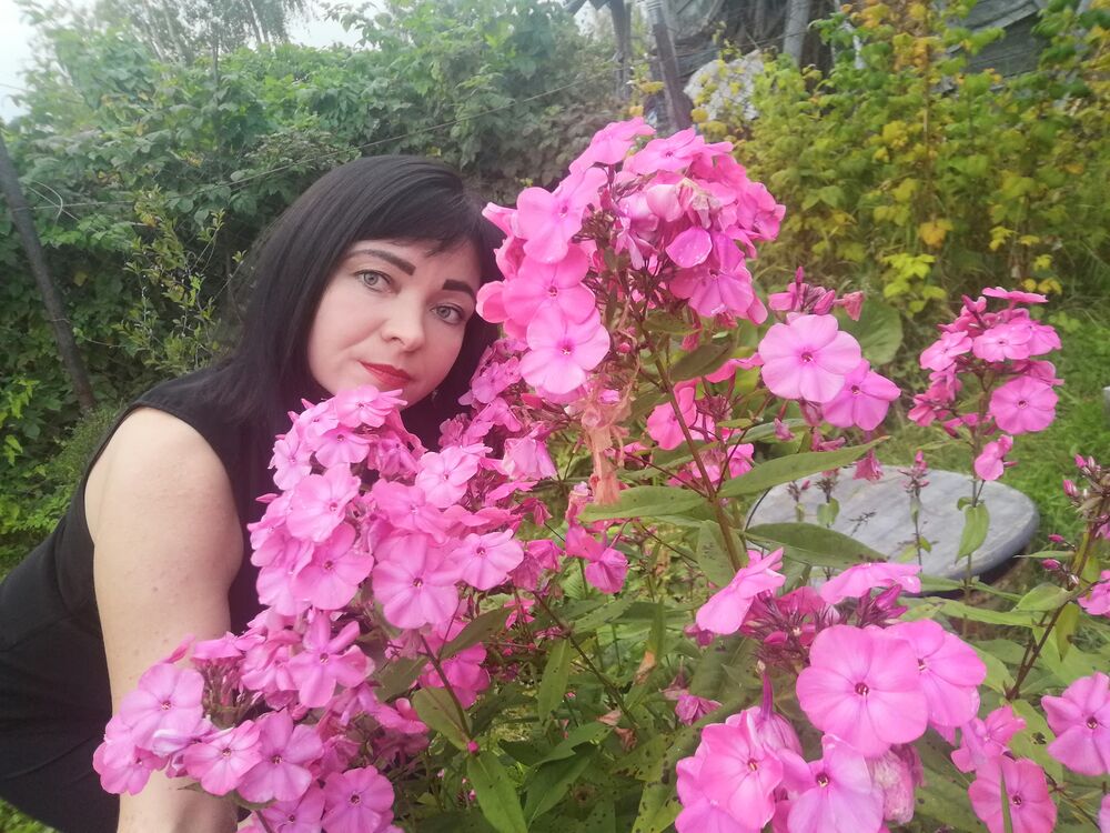 ���������� �����������, ���� ������� ����������, 40 ���, ������������ ��� c�������� ���������