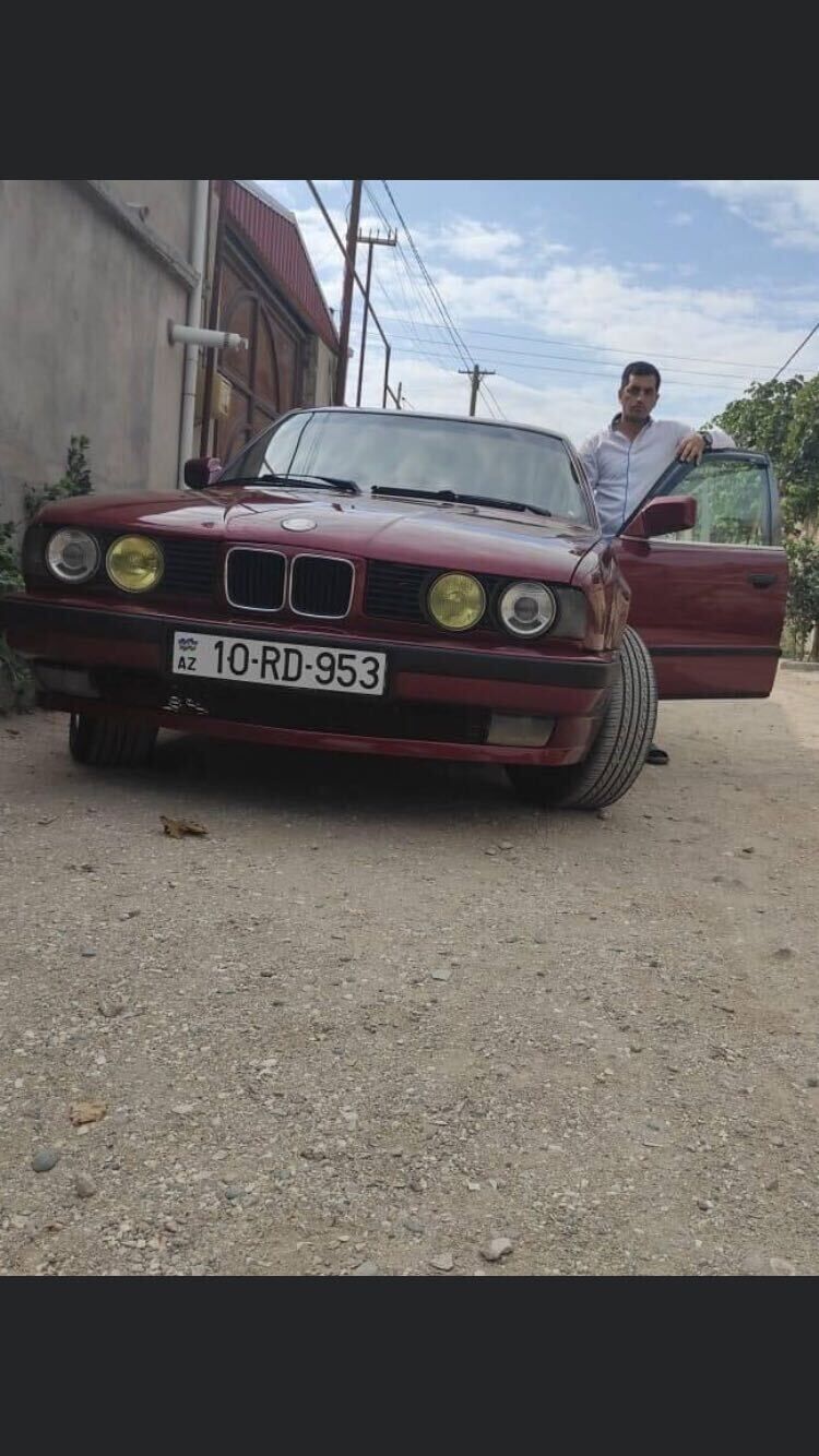 ���������� ����, ���� ������� �����, 40 ���, ������������ ��� ������, ����� � ���������