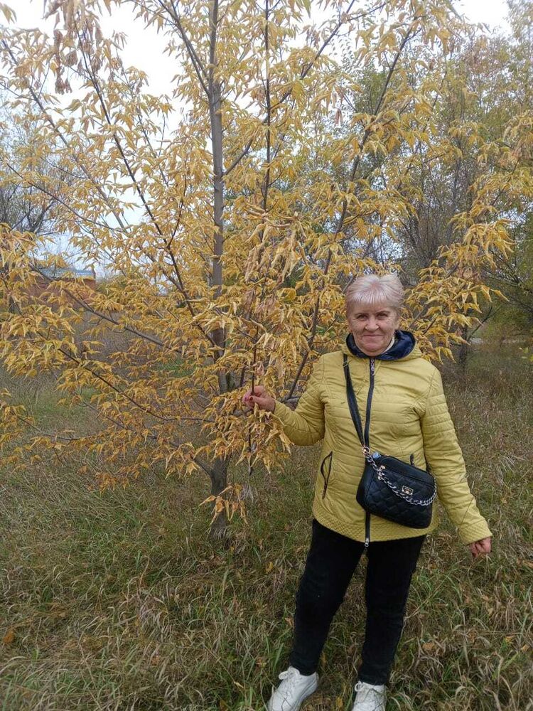  ,   , 71 ,   ,   
