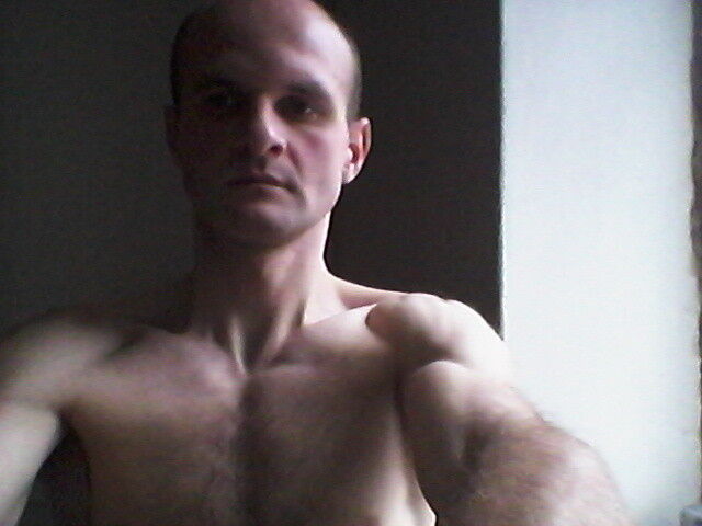 ���� 8685177 ������� ����, 40 ���, ���� ���������� � ������