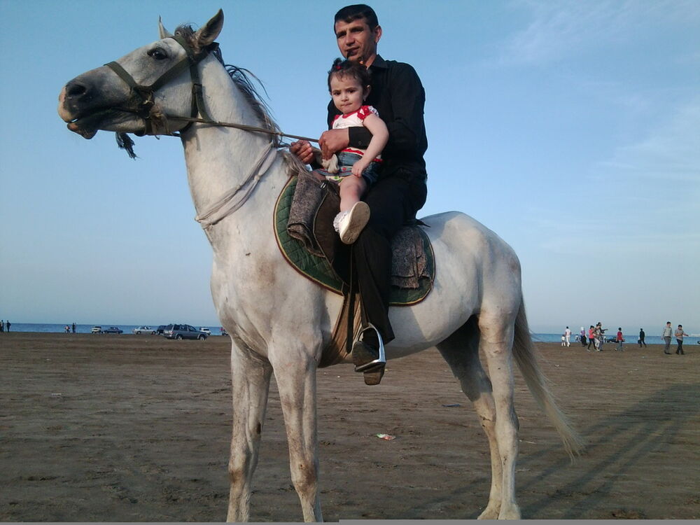  5322997  POLAD, 46 ,    