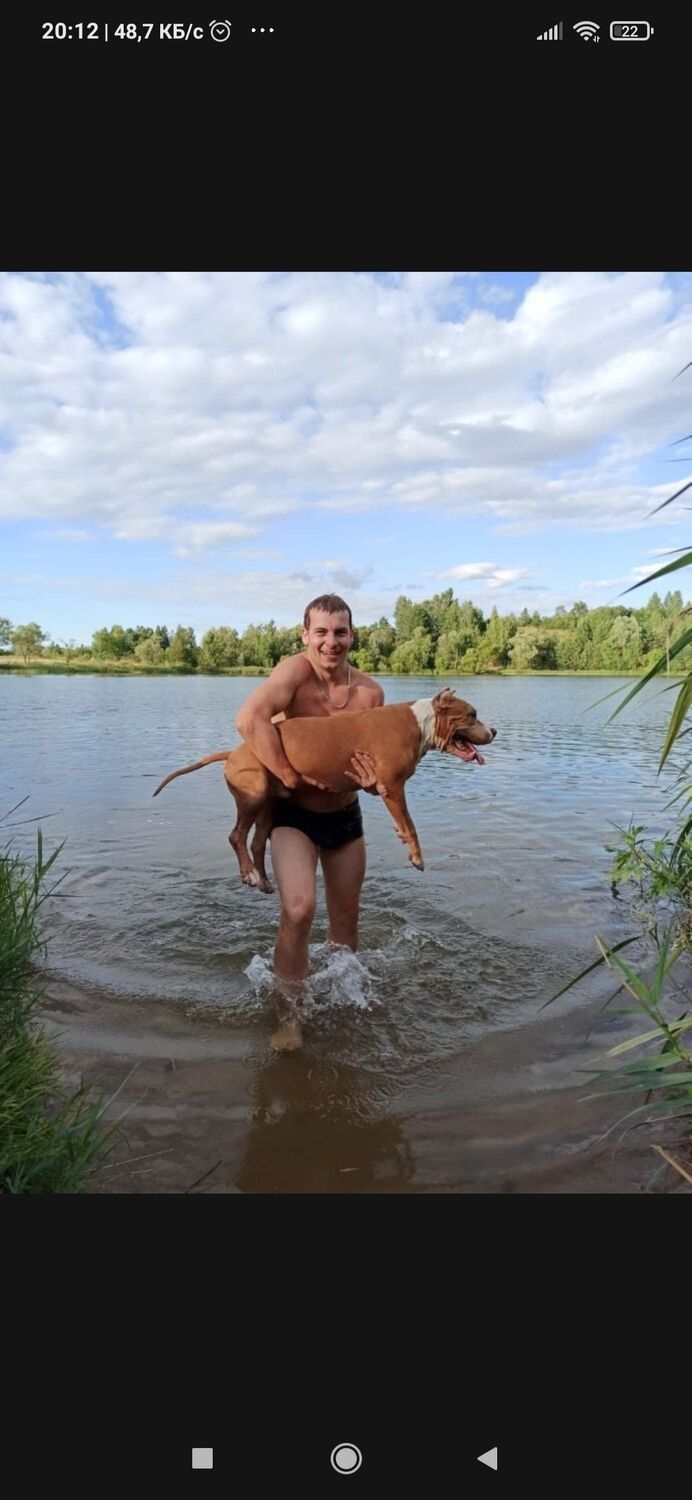 ���������� ������, ���� ������� ������, 37 ���, ������������ ��� ������, ���������