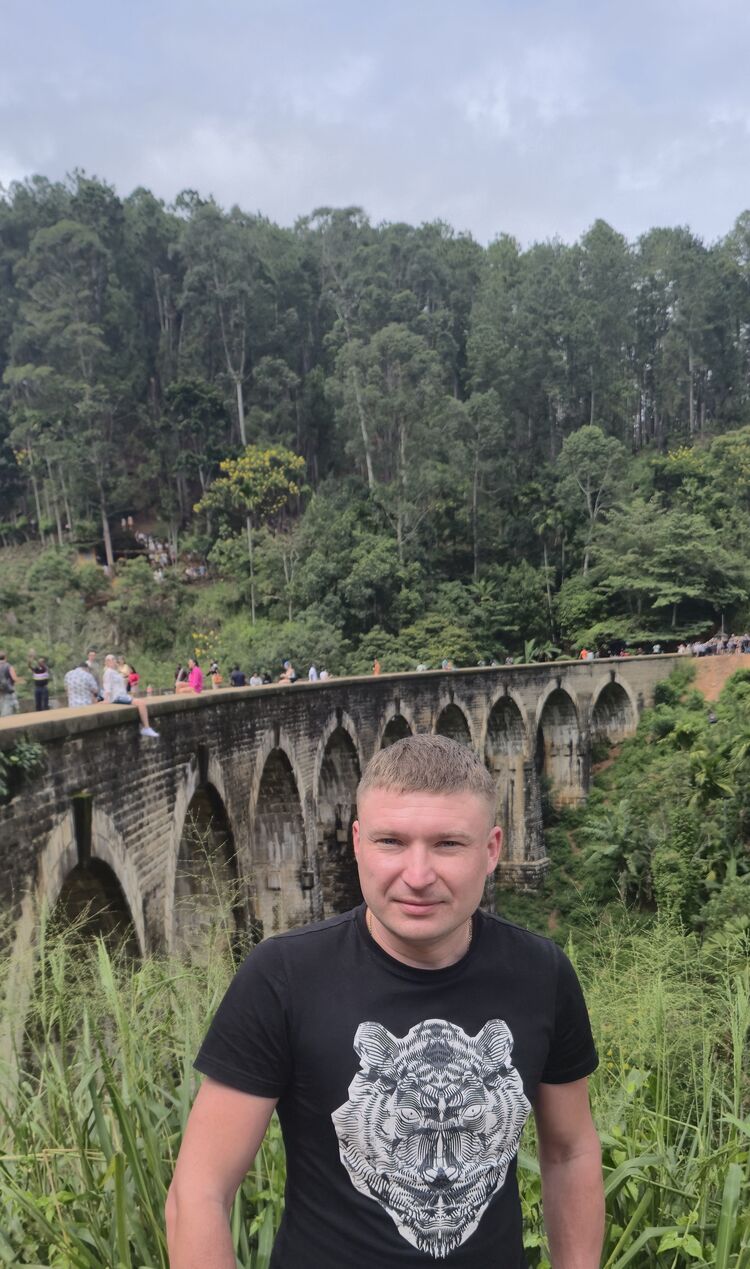  54602577  , 37 ,    -