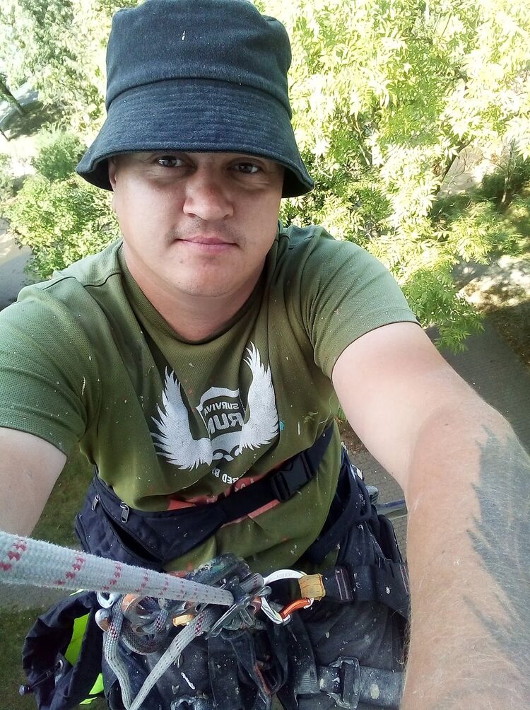 ���������� ���������, ���� ������� ���������, 34 ����, ������������ ��� c�������� ���������, ���������