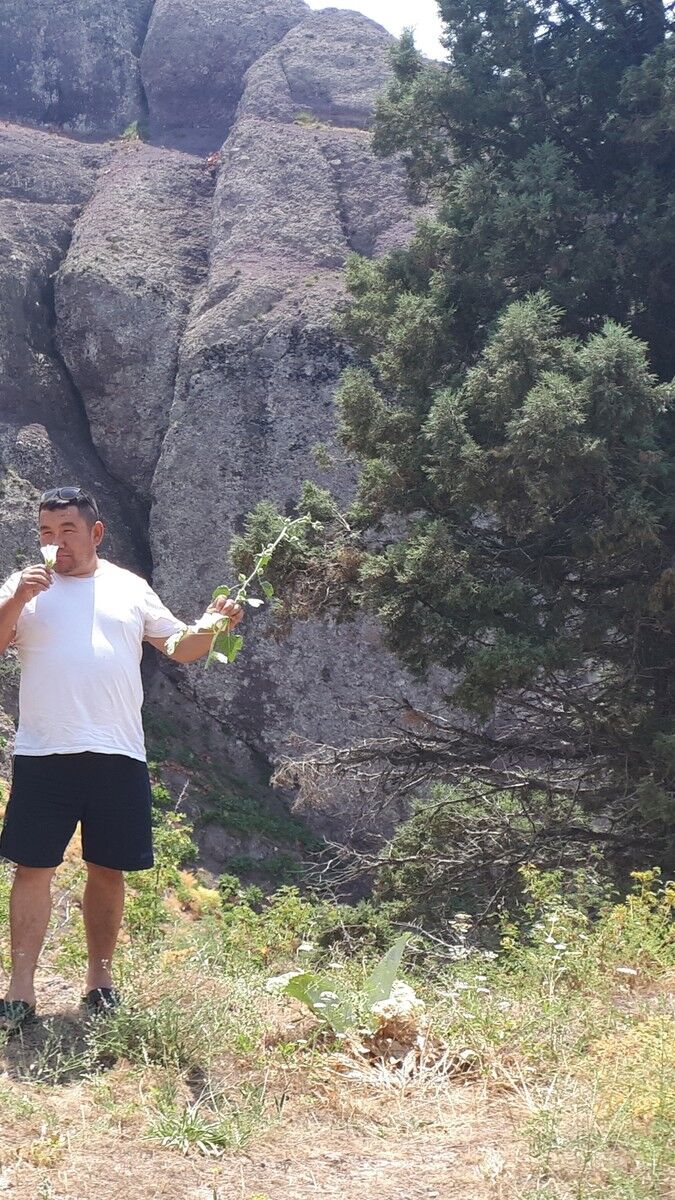 ���� 18387527 ������� Bekzod, 43 ����, ���� ���������� � ��������