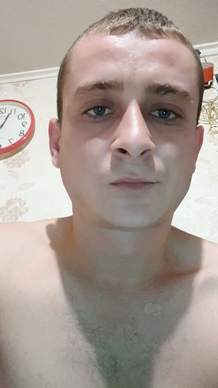  29446187  , 29 ,    