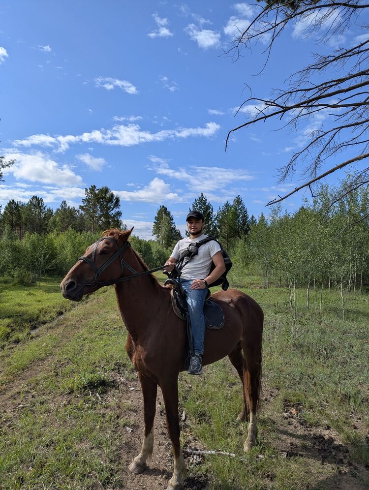 ���� 55178327 ����� ��������, 0 ���, ���� ���������� � �������