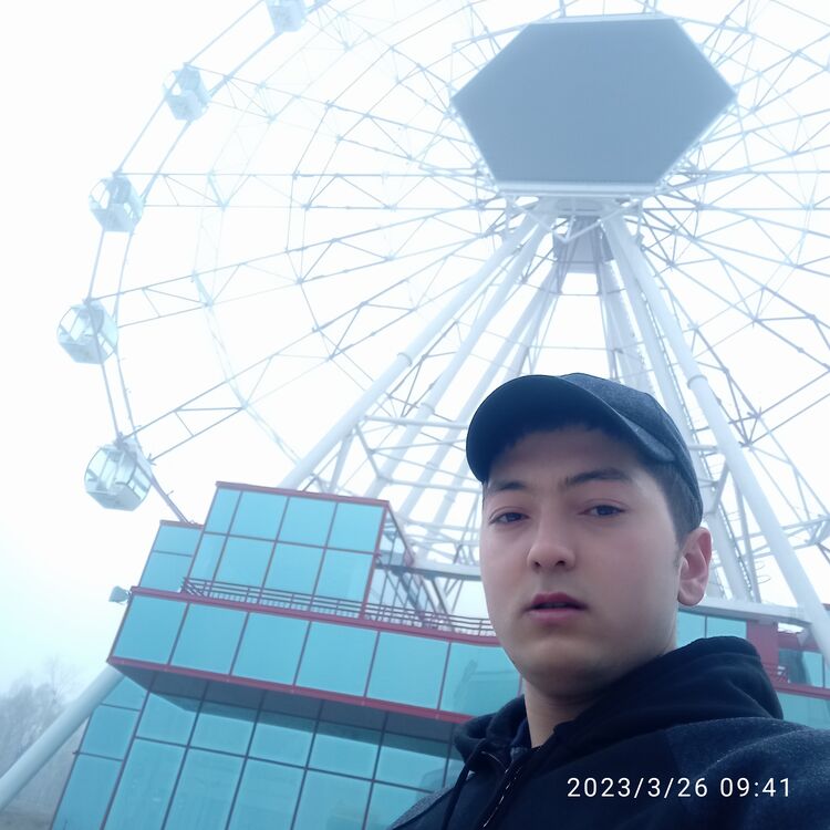 ���������� ����-���������, ���� ����� ����, 24 ����, ������������ ��� ������, ����� � ���������