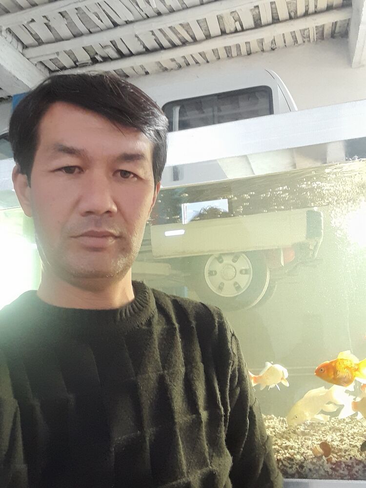 ���� 25368247 ������� ����, 40 ���, ���� ���������� � ����������