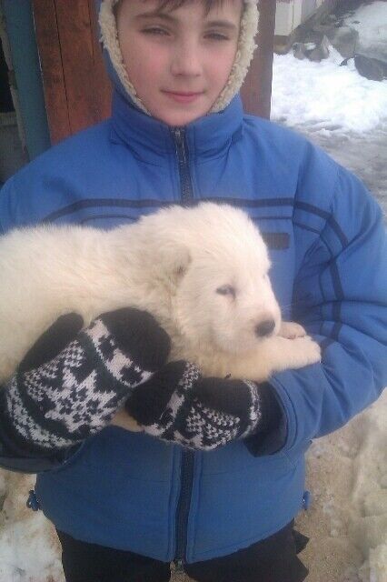 ���������� ��������, ���� ������� �������, 52 ����, ������������ ��� ������, ����� � ���������, c�������� ���������