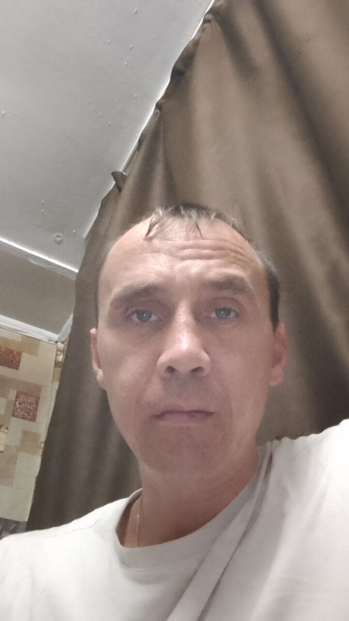  48093687  , 40 ,    
