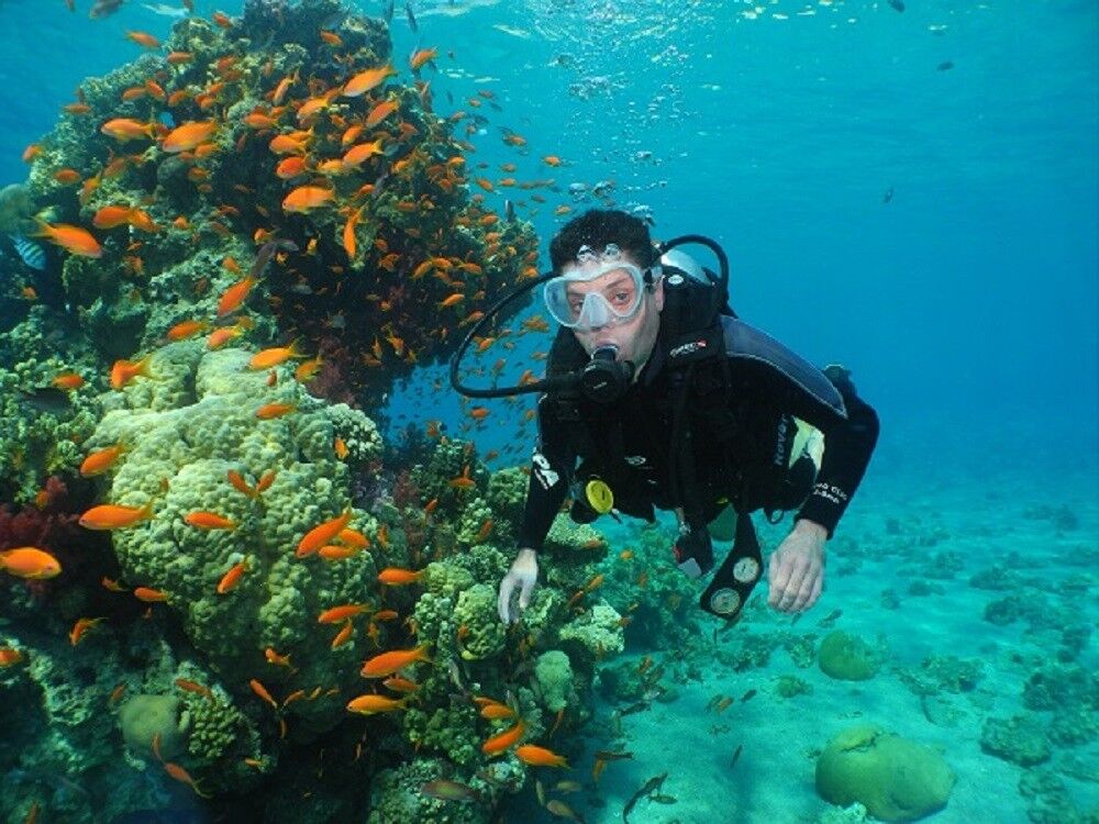 ���������� ������������, ���� ������� �������, 49 ���, ������������ ��� ������, ����� � ���������, c�������� ���������