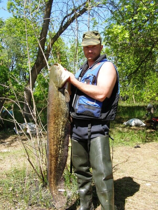 ���� 4948227 ������� �������, 51 ���, ���� ���������� � �������