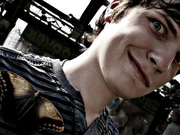 ���������� ����, ���� ������� ������, 34 ����, ������������ ��� ����� � ���������, c�������� ���������