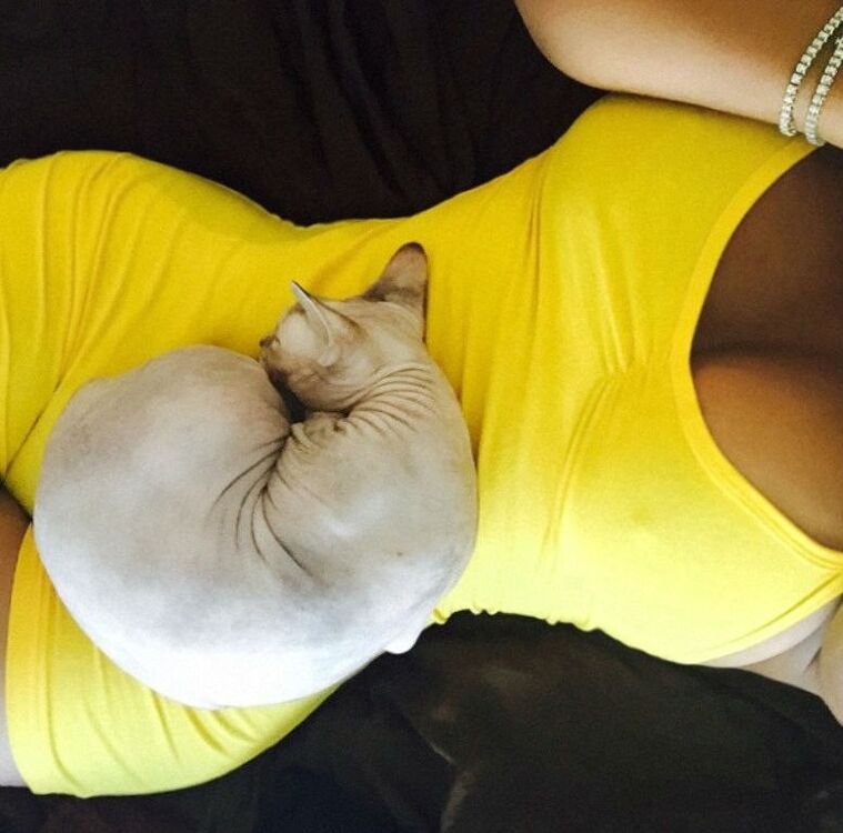 ���������� ������, ���� ������� ���, 30 ���, ������������ ��� ������, ����� � ���������, c�������� ���������, ���������