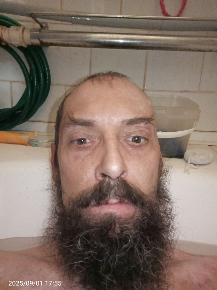  53371637  , 49 ,    -