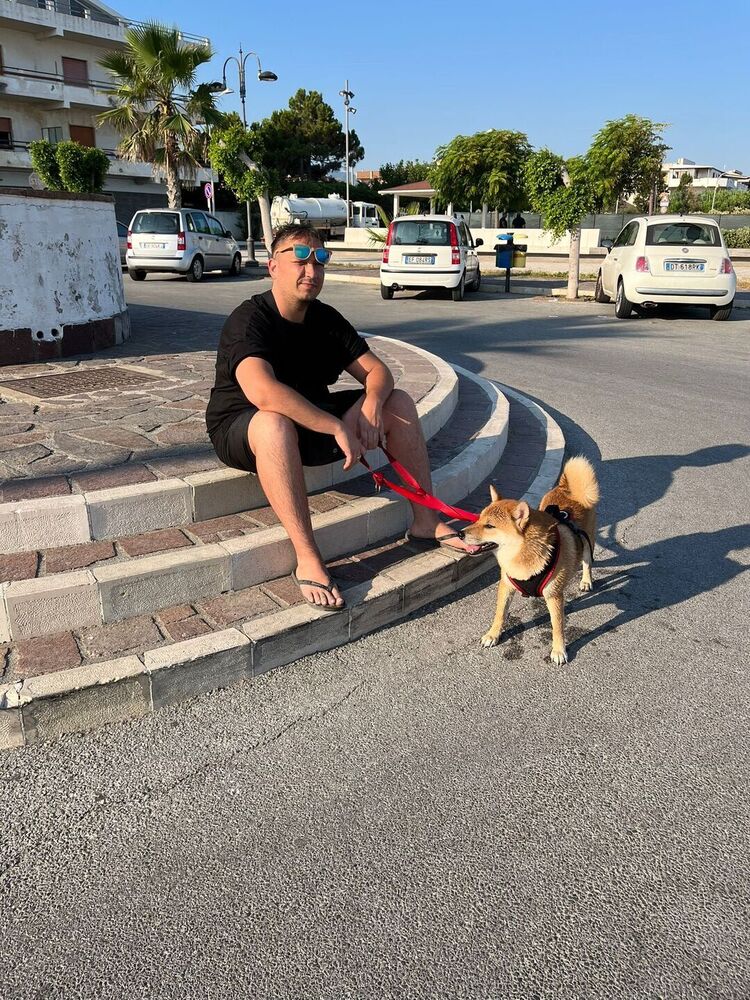  29414897  , 32 ,    -