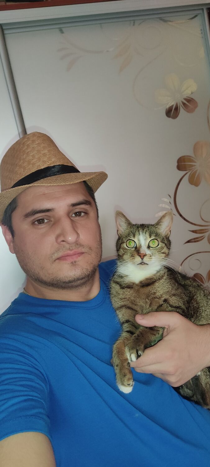  ,   , 38 ,     , c 
