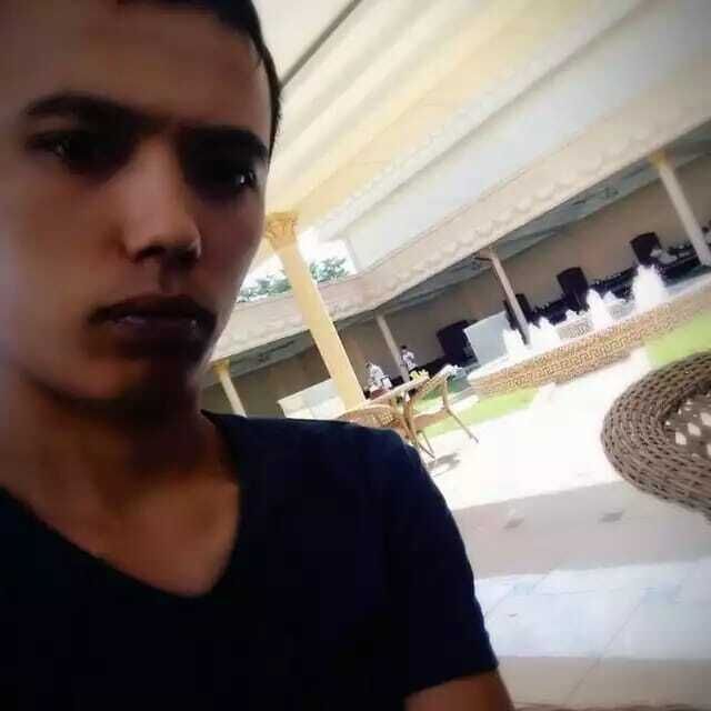  31511427  , 28 ,    