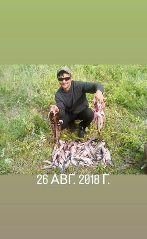 13802607  , 39 ,    