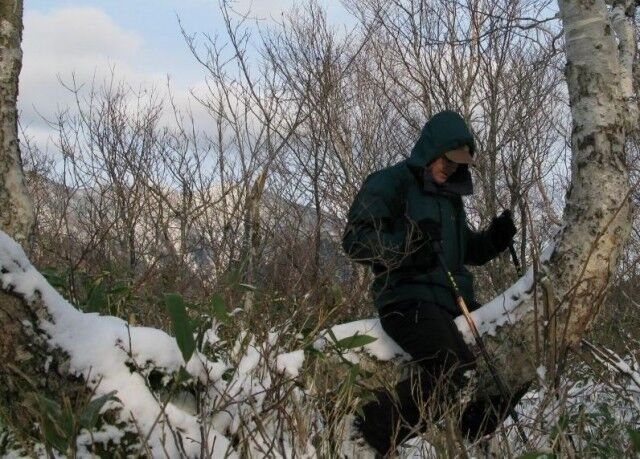 ���������� ������������, ���� ������� �����, 41 ���, ������������ ��� ������, ���������