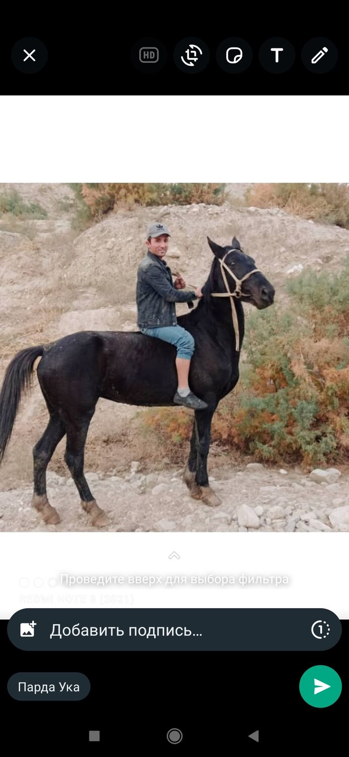 ���������� ������������, ���� ������� ����, 27 ���, ������������ ��� ������, ����� � ���������