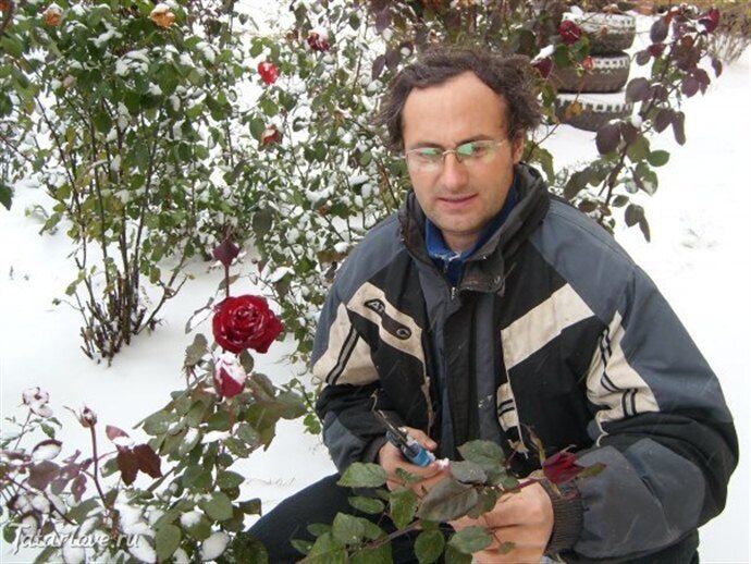 ���� 55440497 ������� �����, 49 ���, ���� ���������� � ����