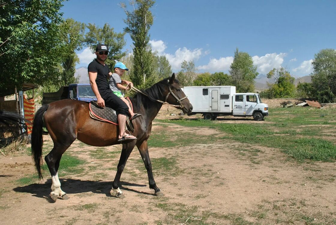 ���������� ����, ���� ������� ���������, 37 ���, ������������ ��� ������, ����� � ���������, ���������