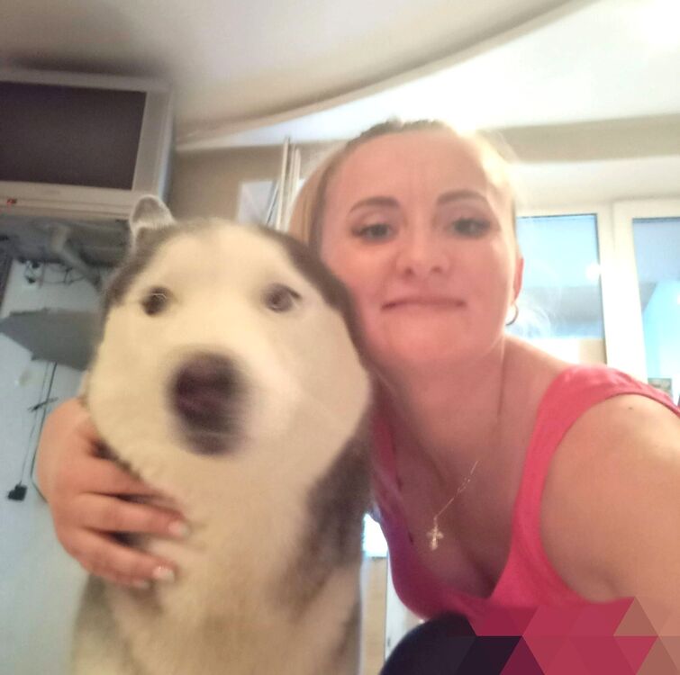 ���������� ������, ���� ������� �����, 41 ���, ������������ 